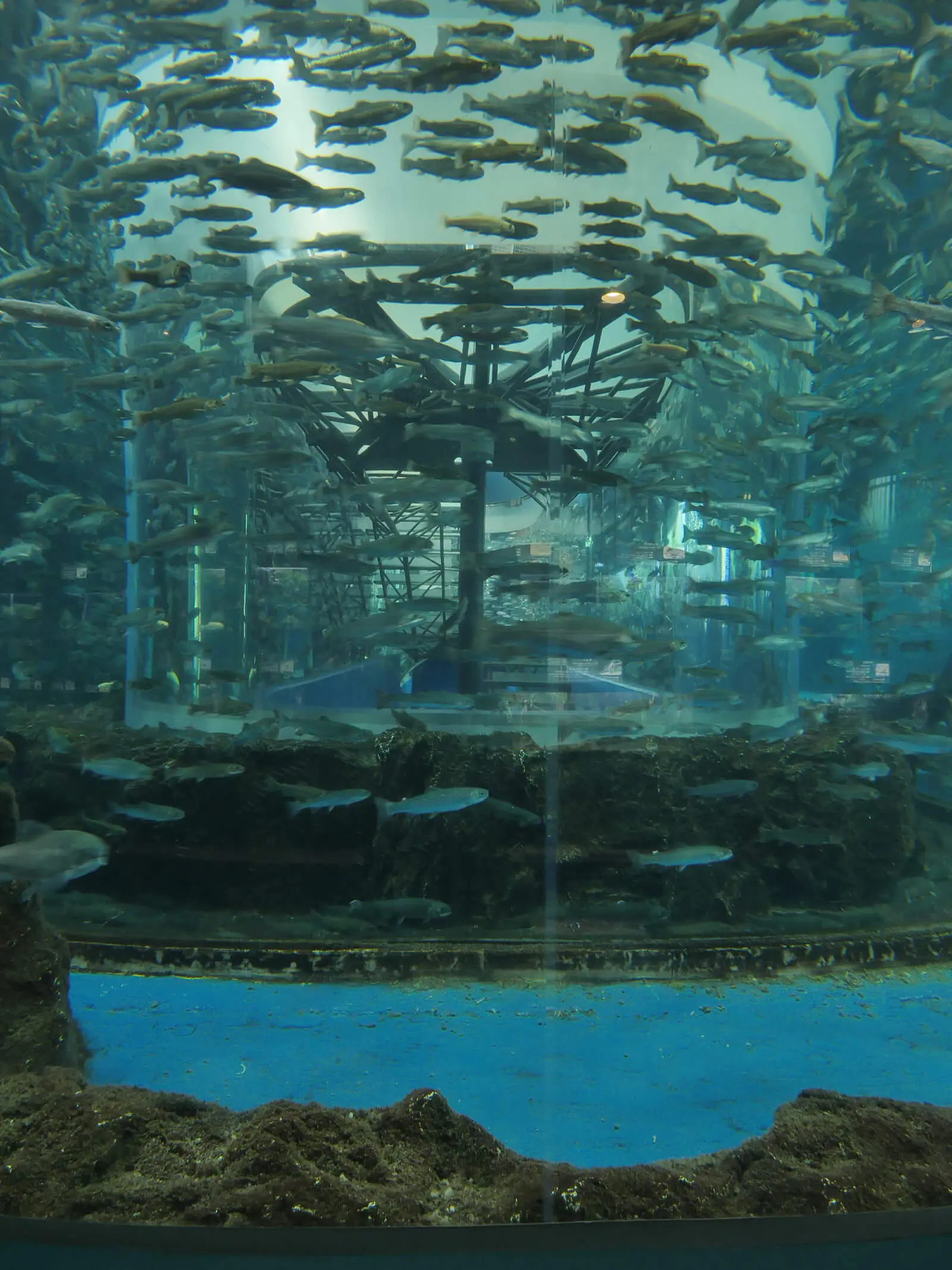 富士湧水の里水族館（ふじゆうすいのさとすいぞくかん）