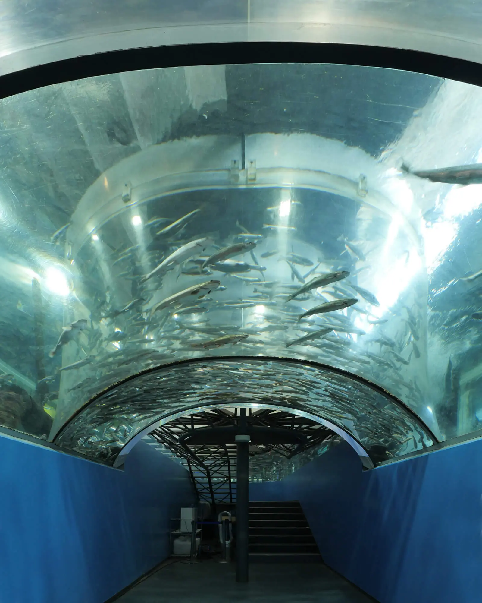 富士湧水の里水族館（ふじゆうすいのさとすいぞくかん）